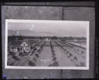 Wide-angle photo of houses and lots, Alhambra, circa 1884