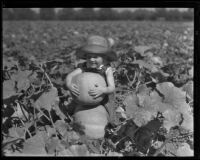 A boy in a pumpkin patch, Los Angeles, 1936