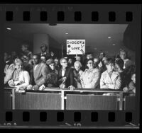 Crowd of fans waiting at Los Angeles International airport to greet Los Angeles Dodgers, 1965