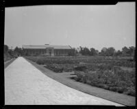 Rose garden in Exposition Park, Los Angeles, 1928-1939