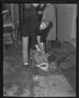 Murder suspect Fred Stettler reaches into a burlap bag, Los Angeles, 1936