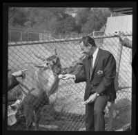 William Holden at the Childrens' Zoo, Los Angeles, 1967