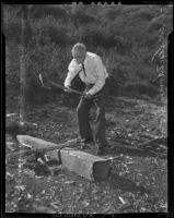 Fred Anthony Lovell, 100 years old, chops wood, Los Angeles, 1938