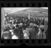 People in the California Department of Employment Development office in Los Angeles, Calif., 1974