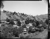 Hillside view of Chavez Ravine