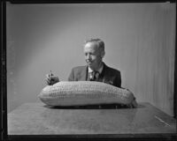 Roland C. Casad sitting with engraved squash, circa 1935