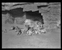 Lions and cubs at Gay's Lion Farm, El Monte, 1935