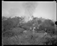 Workers fighting a fire in Griffith Park, Los Angeles, 1933