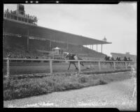 Horses on the home stretch passing the grandstand at Santa Anita Handicap race, Arcadia, 1936