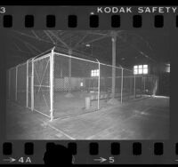 Fence enclosure in a warehouse used for detaining illegal aliens, Los Angeles, Calif., 1977