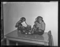 Ditto and Shorty pose with a typewriter at a photoshoot for the Los Angeles Times, 1936