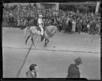 Man on horseback at the Tournament of Roses Parade, Pasadena, 1939