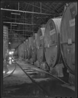 Gallons of wine at the Italian Vineyard Company, Guasti, 1936