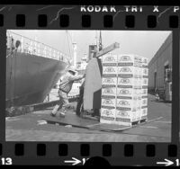 Longshoreman loading cartons of California lemons for shipment to the Soviet Union, 1973