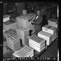 Harold E. Feinstein at Aldine Publishing Company warehouse surrounded by stacks of Goldwater and Johnson campaign materials, Calif., 1964