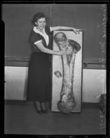 Virginia McFarland, USC student with prehistoric fossil, Los Angeles, 1935