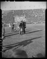 Injured player from Wisconsin Badgers during game against UCLA Bruins at Memorial Coliseum, Los Angeles, ca. 1938