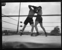 Boxers Young Stribling and Eddie Huffman fighting at Ascot Arena, Los Angeles, 1925