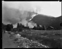 View of the La Crescenta fire burningin the hills, Los Angeles, 1933