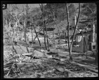 Ruins of homes destroyed by the Sunset Canyon fire, Los Angeles, 1927