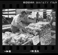 Grower Ron Redfield slicing oranges at a farmer's market in Pacoima, Calif., 1981