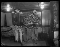 Chinese lion being readied for the New Year celebration in Chinatown, Los Angeles, 1927