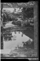 View towards the Henry E. Huntington residence from the lagoon, San Marino, 1927 copy print