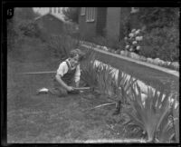 Dickie Brandon gardening, Los Angeles, 1926