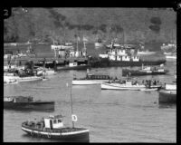 Boats in Isthmus Cove on the day of the Wrigley Ocean Marathon, Santa Catalina Island, 1927