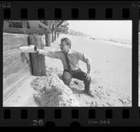 Robert Saviskas, health officer, inspecting pipe on Malibu beach home, 1986