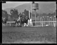 "Brass Bottle," "Count Dean" and "Jack O'Spades" finishing a race at Santa Anita Park, 1938