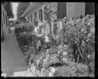 Lorenzo D. Smith works in his garden, Los Angeles, 1935