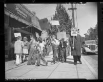 Children counter-picketing AFL pickets at market for their candy supplies in Altadena, Calif., 1948