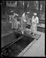 Three men tend a barbecue pit at the Sheriff's Relief Association barbecue, Los Angeles, 1934