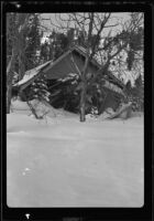 Cabin, damaged and buried by snow, June Lake, 1938