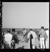 United Farm Worker's strike in Delano, 1965