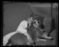 Homeless Linda Henderson asleep in auto with her dog Butch in Los Angeles, Calif., 1947