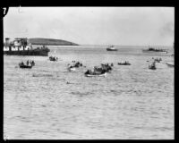 Boats and swimmers in Isthmus Cove at the start of the Wrigley Ocean Marathon, Santa Catalina Island, 1927