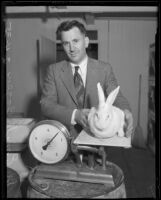 Tuberculosis researcher Dr. Emil Bogen and research rabbit on scale, Olive View Sanatorium, Sylmar, 1935