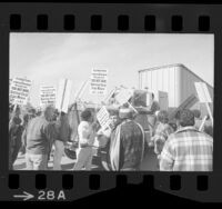 Teamster and longshoremen pickets blocking truck at Mexico-United States border in San Ysidro, Calif., 1972