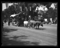 Oxen pulling covered wagon in Pioneer Days Parade in Santa Monica, Calif., 1931