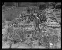 Mickey McBan gardens, Los Angeles, 1926