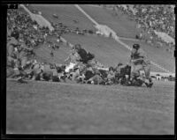 U.C.L.A. Bruins play Oregon State Beavers at Coliseum, Los Angeles, 1938