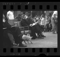 Columnist William F. Buckley Jr. seated on stage at UC Riverside graduation ceremony, 1970