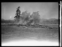 Burning wood debris in a field following the flood resulting from the failure of the Saint Francis Dam, Santa Clara River Valley (Calif.), 1928