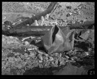 Los Angeles aqueduct, damaged section of pipe, Inyo County, [1924-1931?]