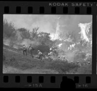 Los Angeles County fire camp crew hiking up hill as wildfire burns in background in Lake Sherwood area, Calif., 1976