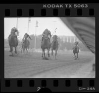 "Precisionist," "Super Diamond" and three other thoroughbreds racing in the Californian Stakes, 1986