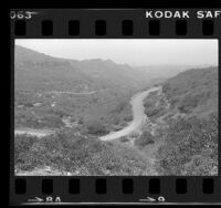 Trails along hills of Griffith Park in Los Angeles, Los Angeles, 1976