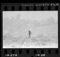 Ed Costanzo, walking his two dogs on a hillside in Elysian Park on a smoggy day in Los Angeles, Calif., 1980